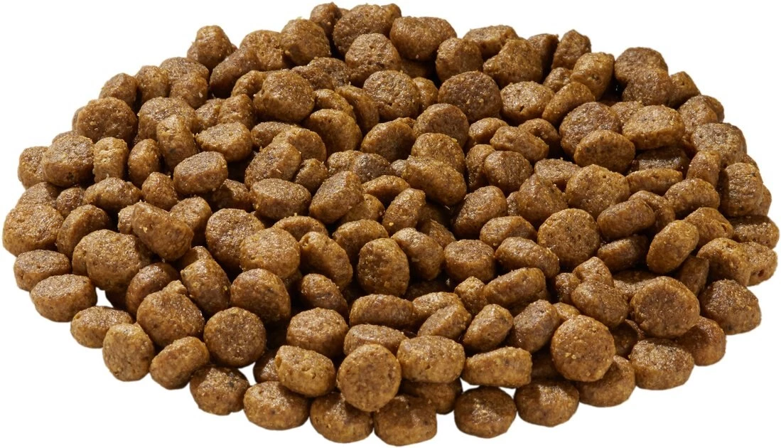 Health Extension Grain-Free Duck Recipe Dry Dog Food - Image 3