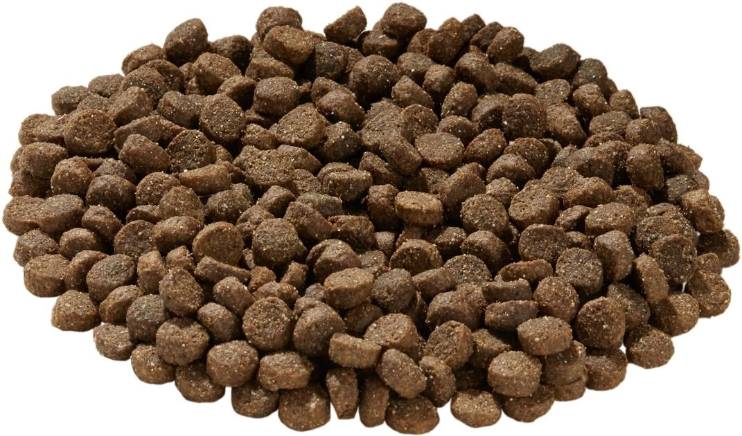 Health Extension Lamb & Brown Rice Dry Dog Food - Image 3
