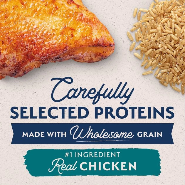 Natural Balance Limited Ingredient Chicken & Brown Rice Recipe Dry Dog Food - Image 4