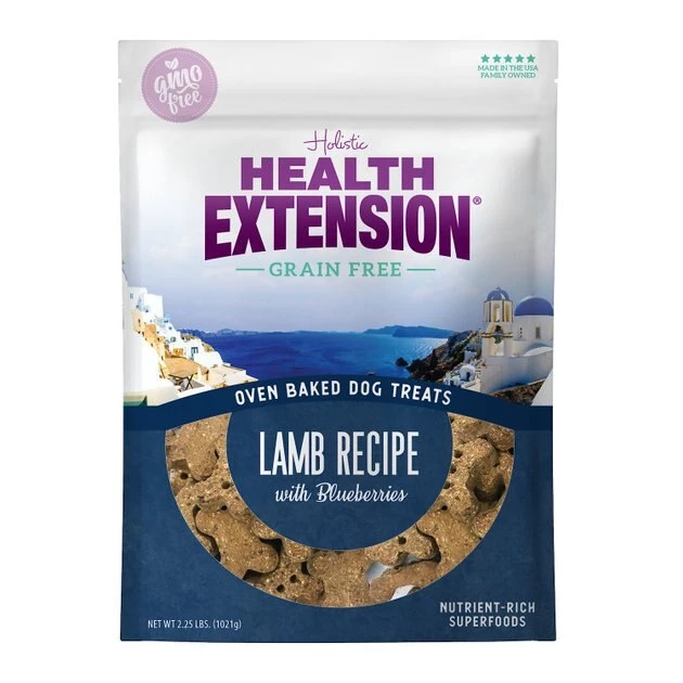 Health Extension Grain-Free Oven Baked Lamb Recipe with Blueberries Dog Treats