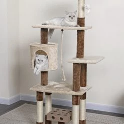 Go Pet Club 67-in IQ Busy Box Cat Tree Condo, Beige