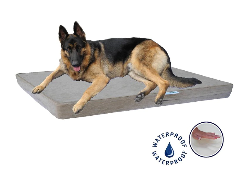 Go Pet Club 4" Memory Foam Pillow Cat & Dog Bed - Image 2