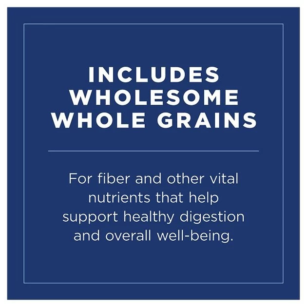 Natural Balance Ultra Premium Lamb Formula Canned Dog Food - Image 3