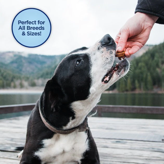 Natural Balance Limited Ingredient Diets Jumpin’ Stix Venison & Sweet Potato Formula Dog Treats - Image 7